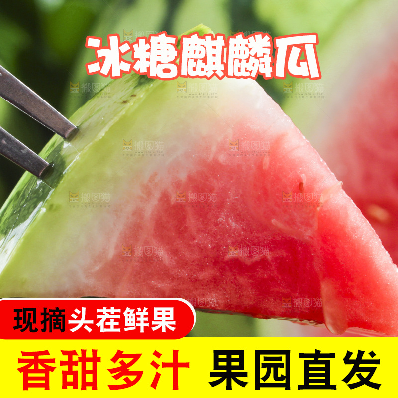叉子叉着一块红心西瓜