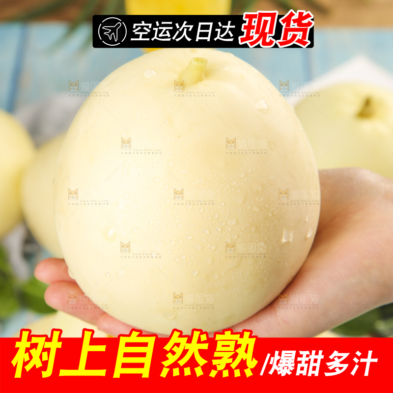 手里捧着陕西阎良甜瓜