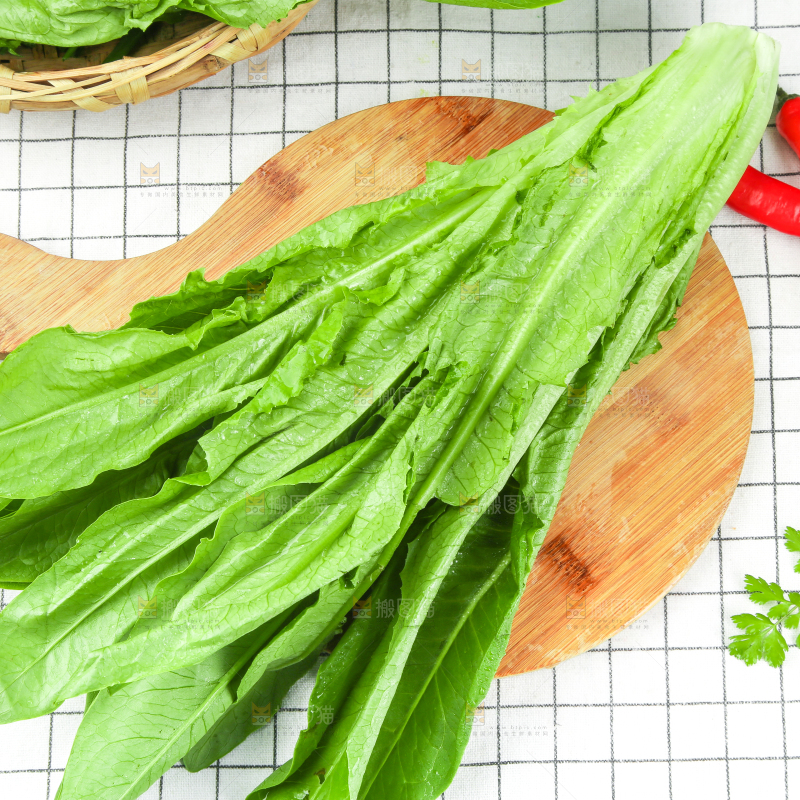 格子底上放着油麦菜