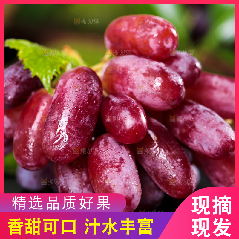 黑石垫上放着美人指葡萄