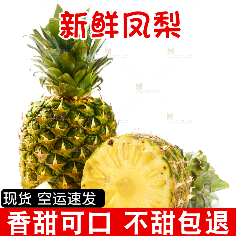 白底上的海南金钻凤梨