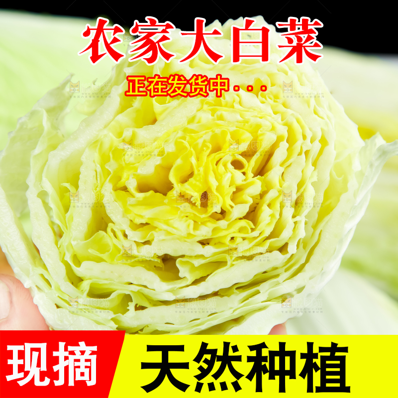 手上拿着大白菜