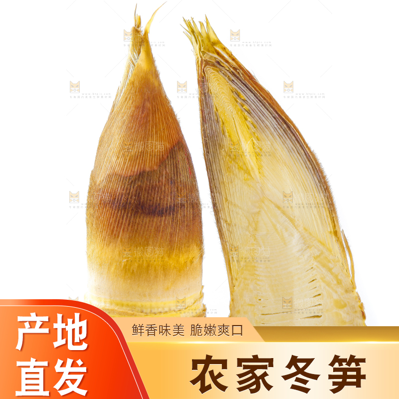 白底上摆放着冬笋