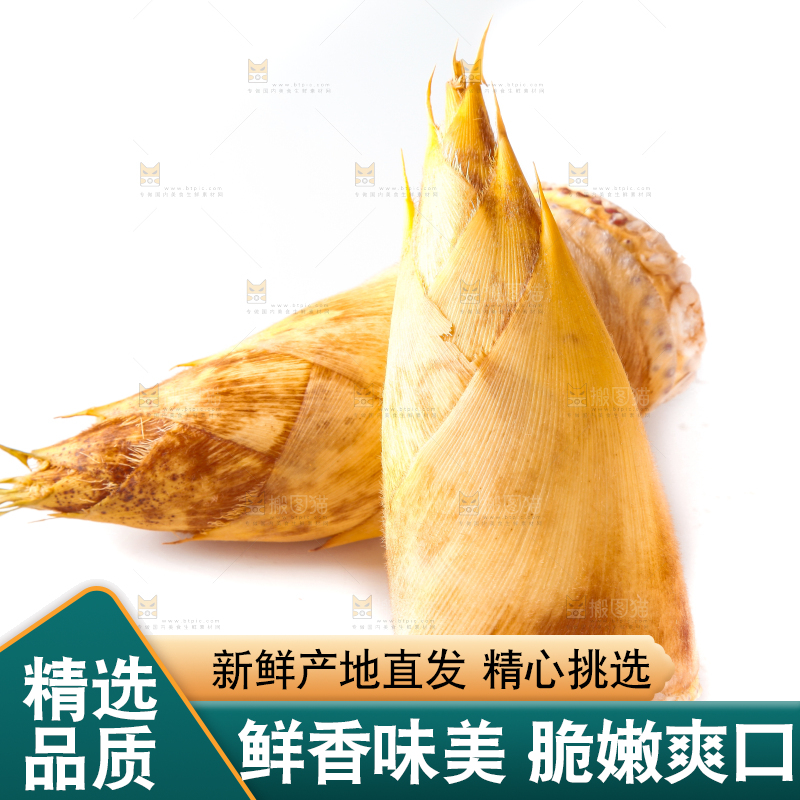 白底上摆放着冬笋