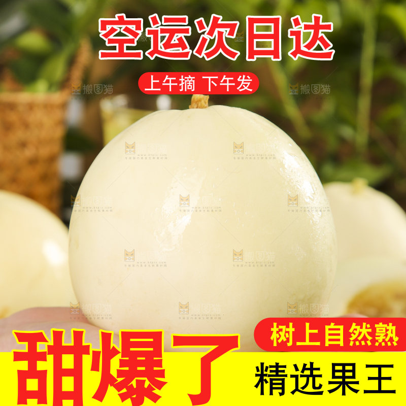 手里捧着阎良甜瓜