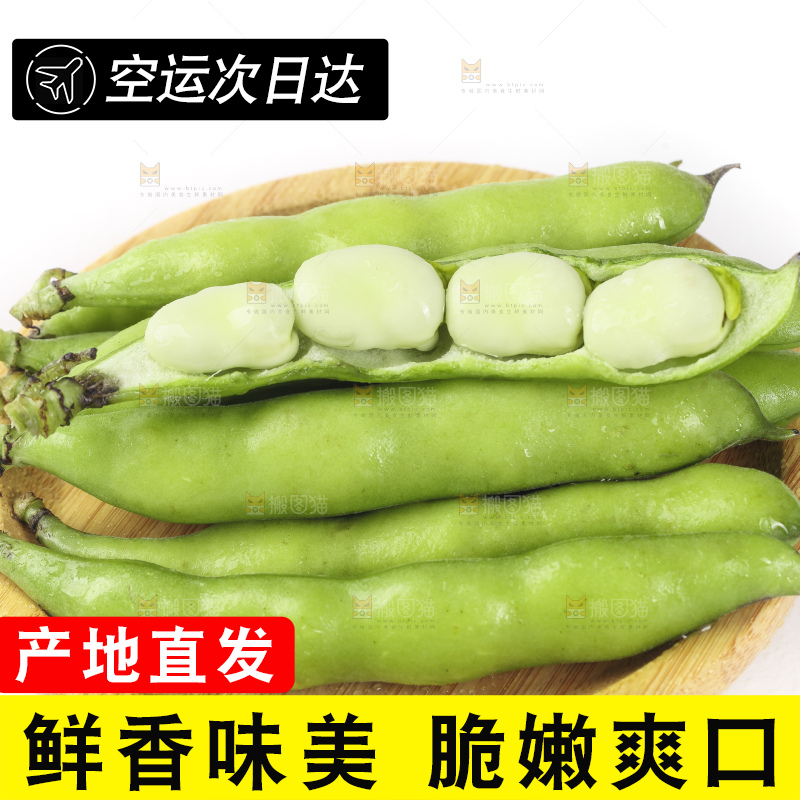 一筐新鲜四川蚕豆放在白底上