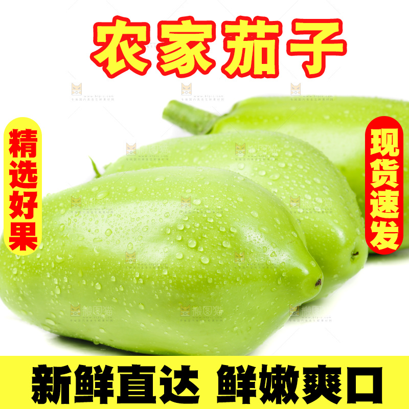 白底上放着青茄子