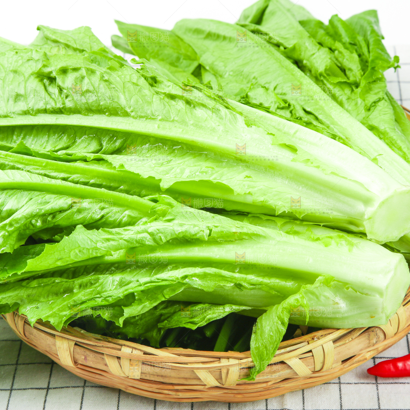 格子底上放着油麦菜