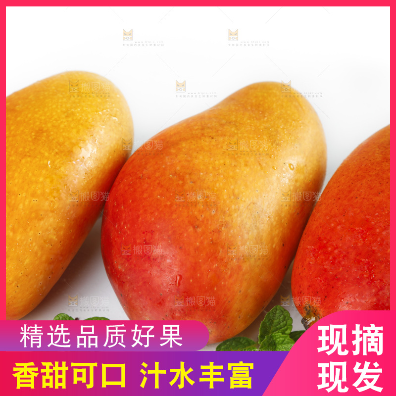 白底上放着新鲜的彩芒