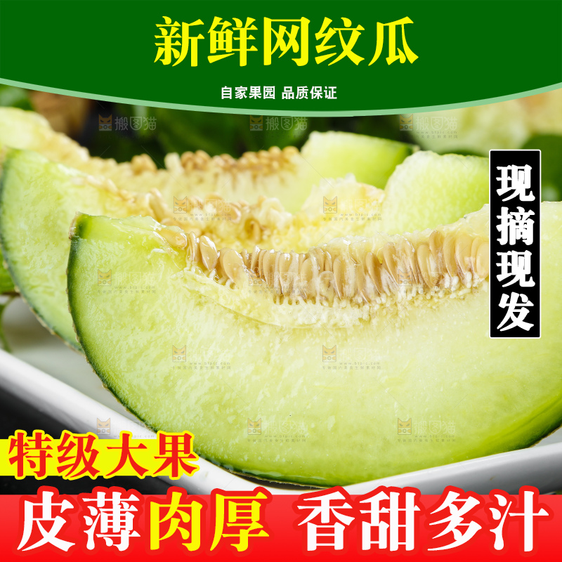 深底上放着切开的山东网纹蜜瓜