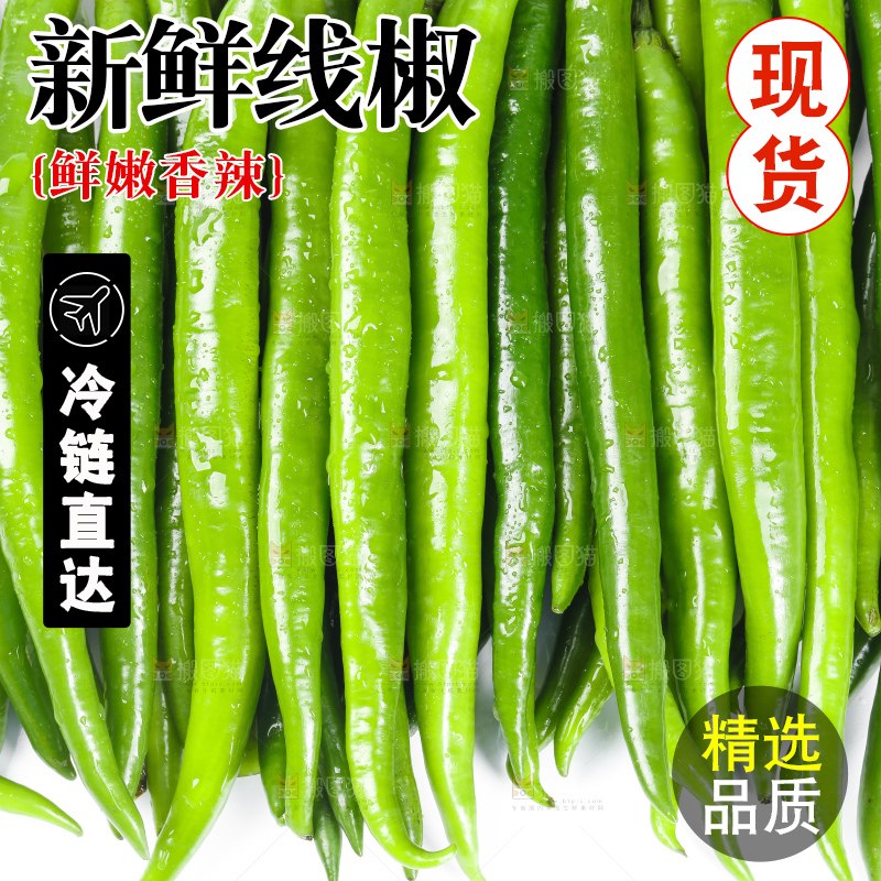 白底上放着线椒
