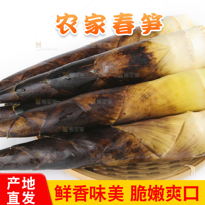 白底上放着新鲜的富阳春笋