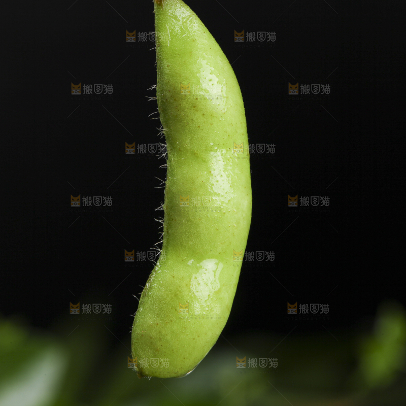 深底上放着云南毛豆