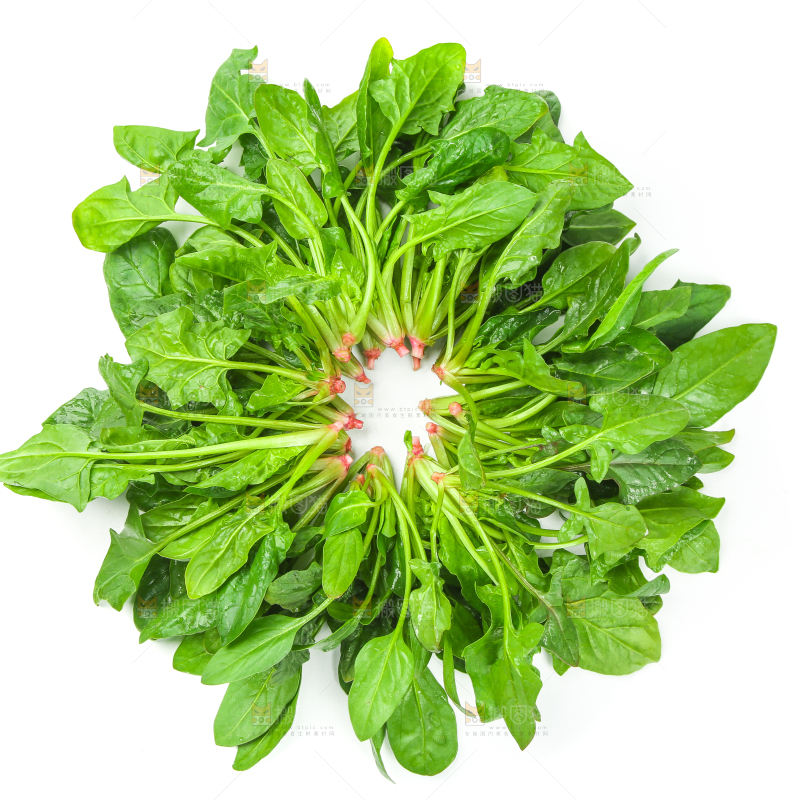 白底上放着新鲜菠菜