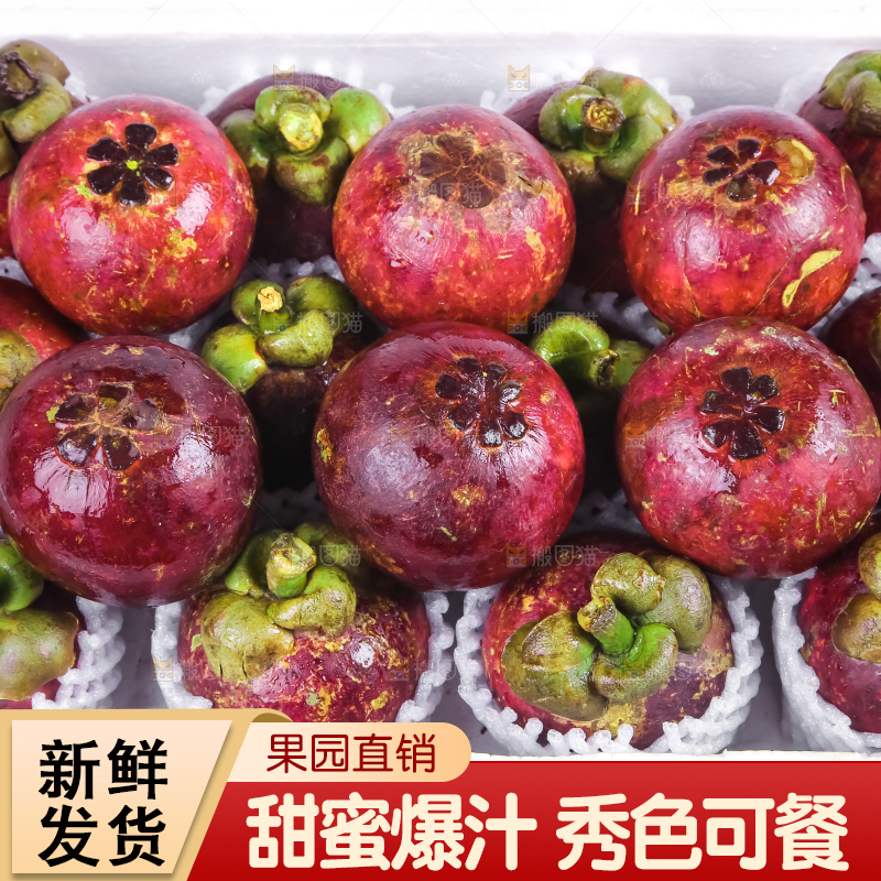 一盒泰国进口山竹放在白底上