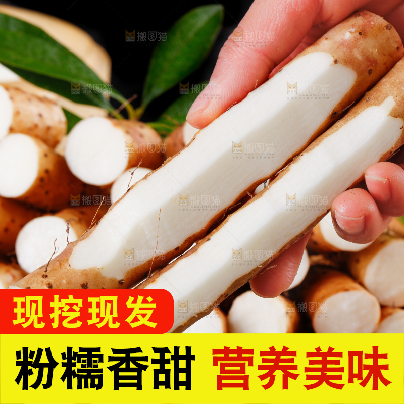 手里拿着新鲜山药