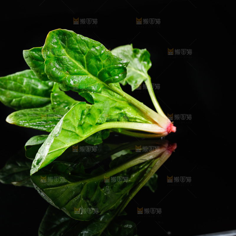 黑底上的菠菜