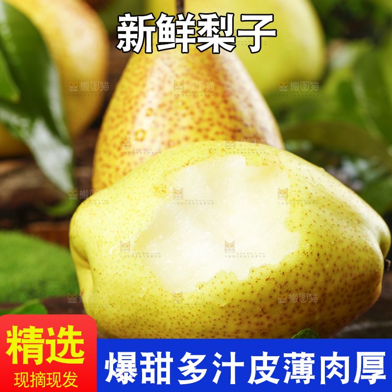 木底上放着陕西红香酥梨