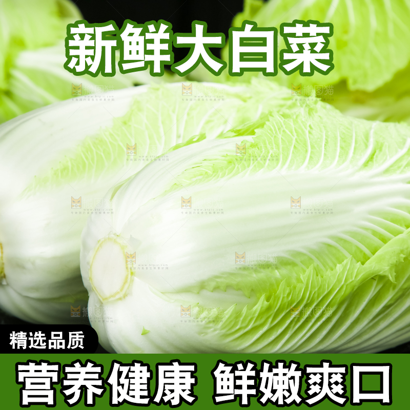 黑底上的有机大白菜