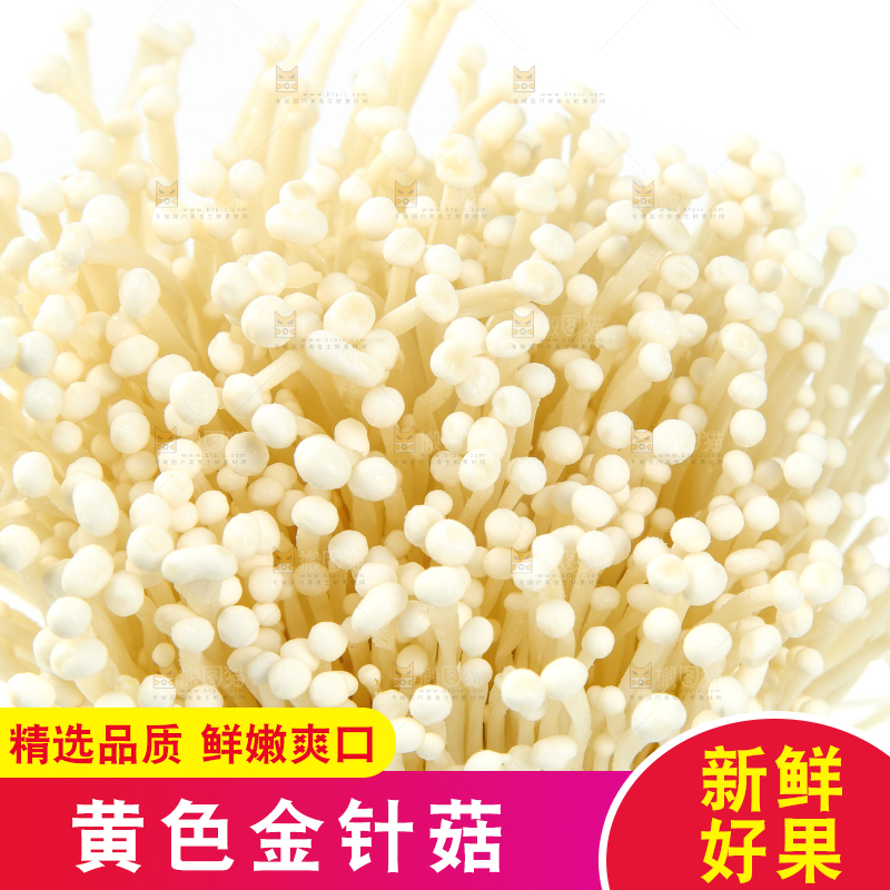 白底上的金针菇