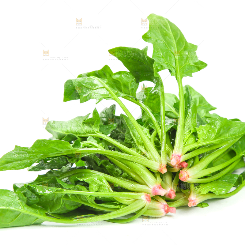 白底上放着菠菜