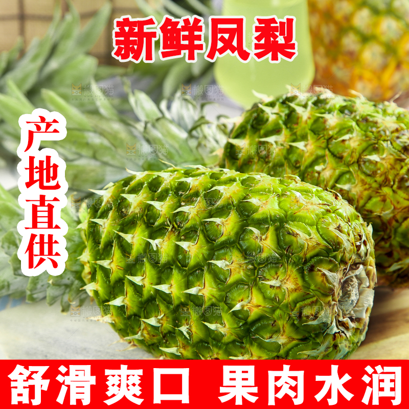 白石板上放着金钻凤梨