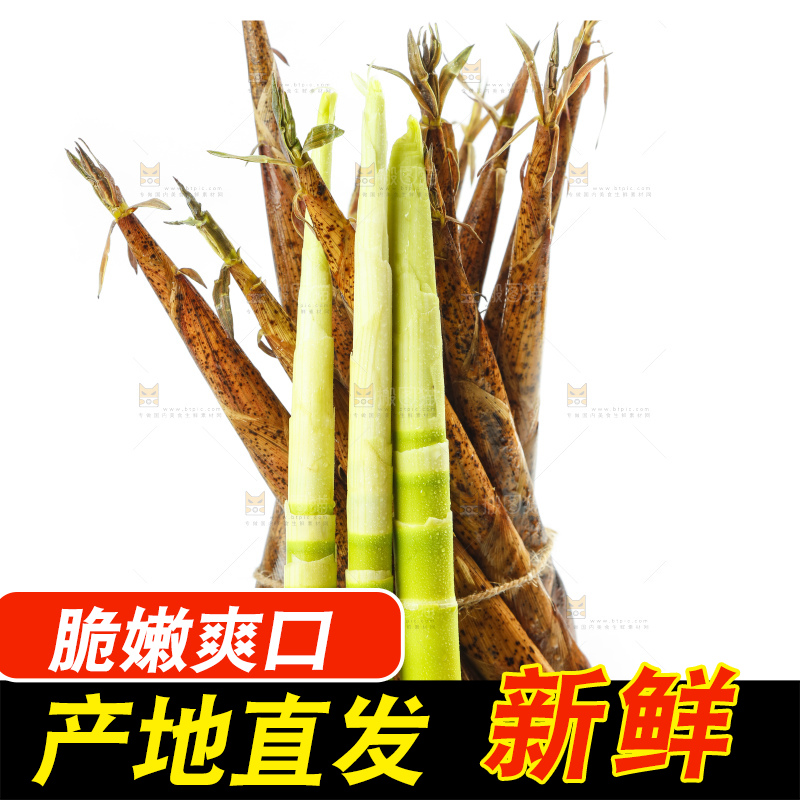 白底上绑着一捆薄片的竹笋