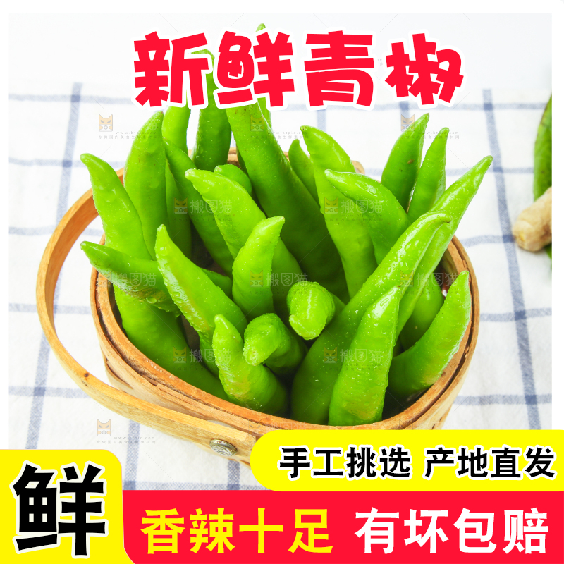 格子底上放着青杭椒