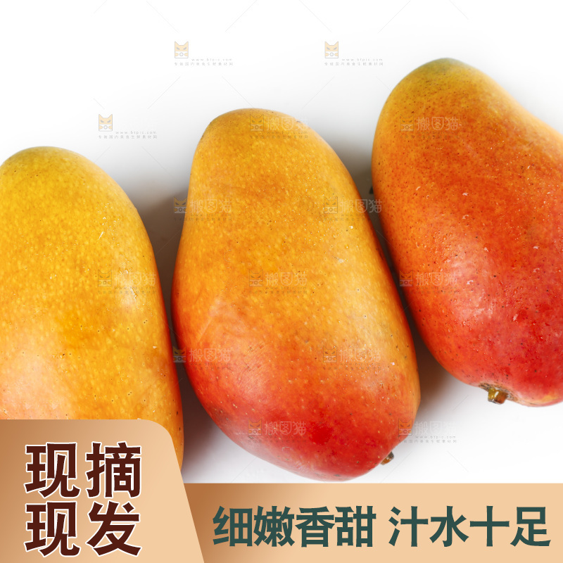 白底上放着新鲜的彩芒