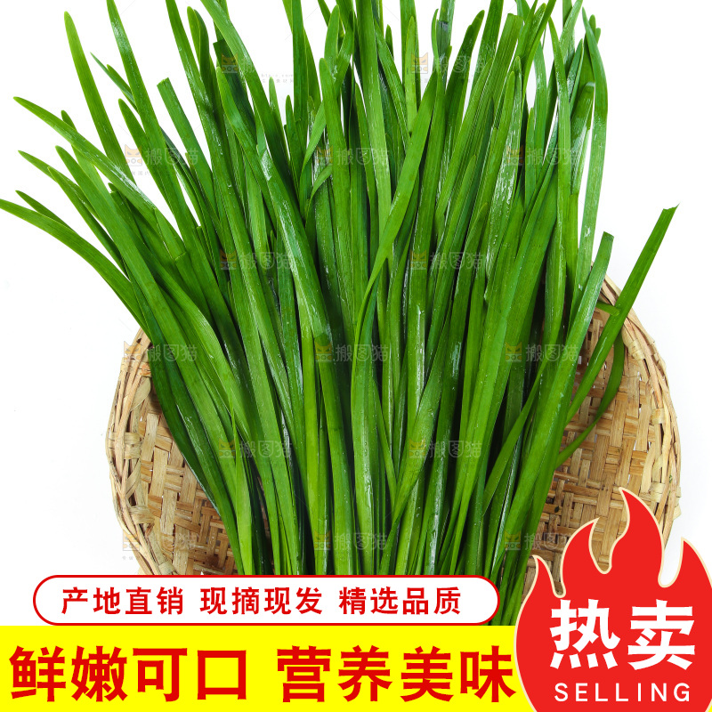篮子里堆放着韭菜
