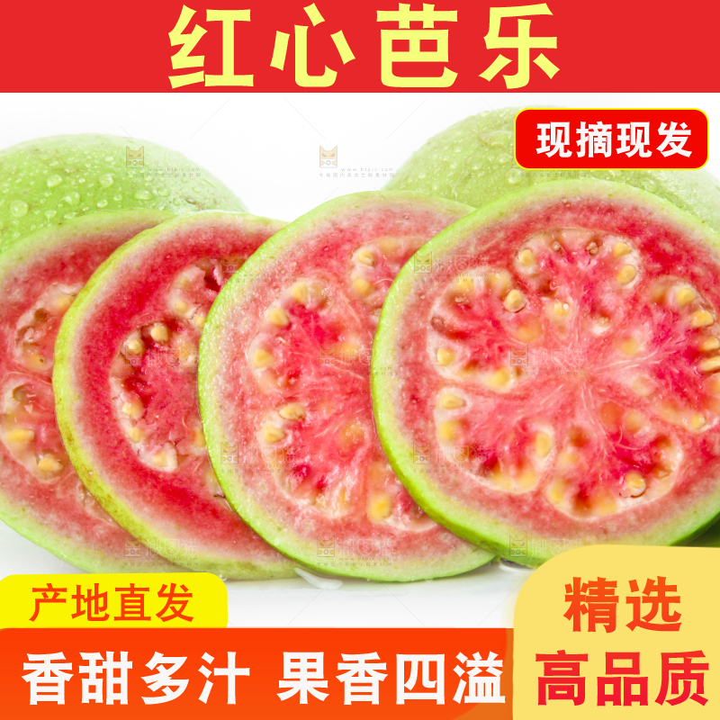 白底上放着红芭乐