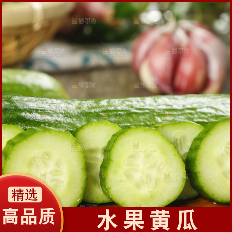 新鲜的山东水果黄瓜放在木板上