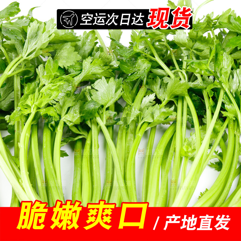 白底上放着芹菜