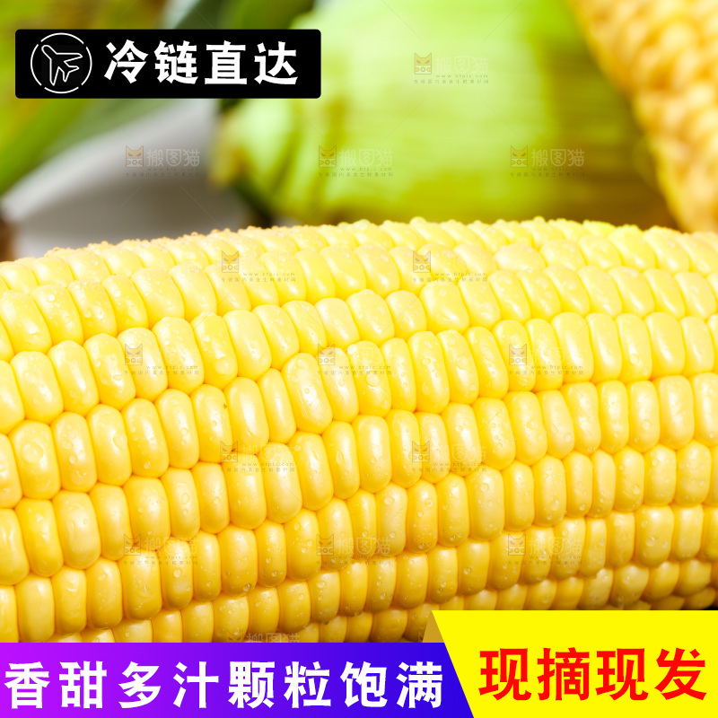 深底上的玉米
