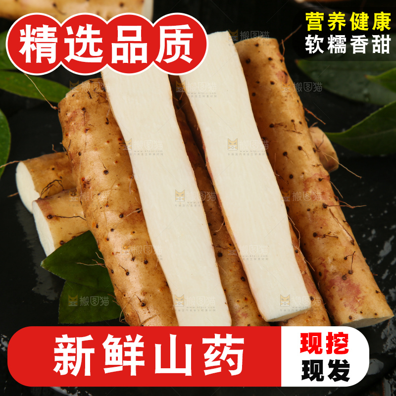 深底上的小白嘴山药