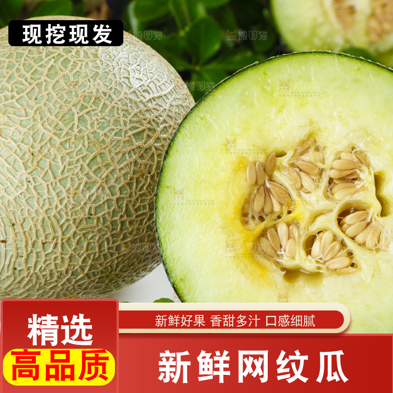 深底上放着切开的山东网纹蜜瓜