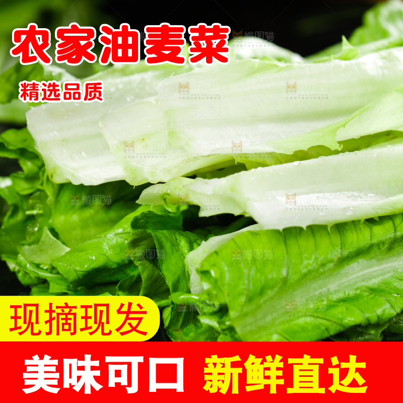 黑底上的油麦菜