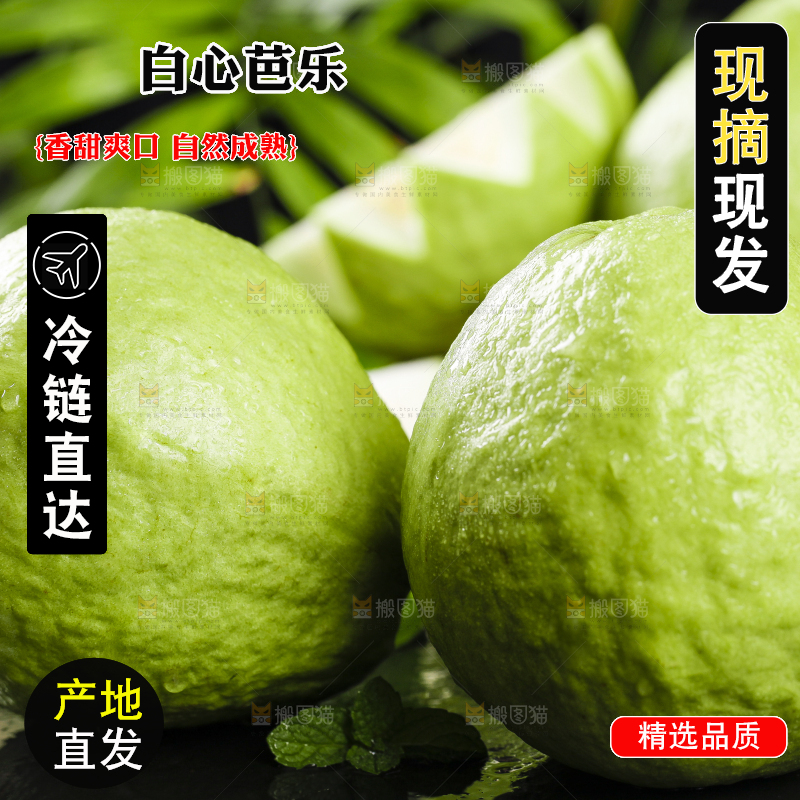 一堆新鲜的广西白心芭乐