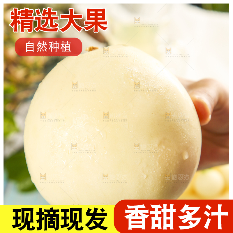 手里拿着陕西阎良甜瓜