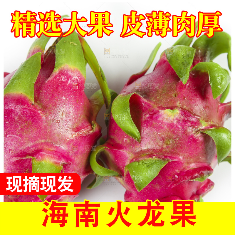 云南新鲜红心火龙果放在白底上