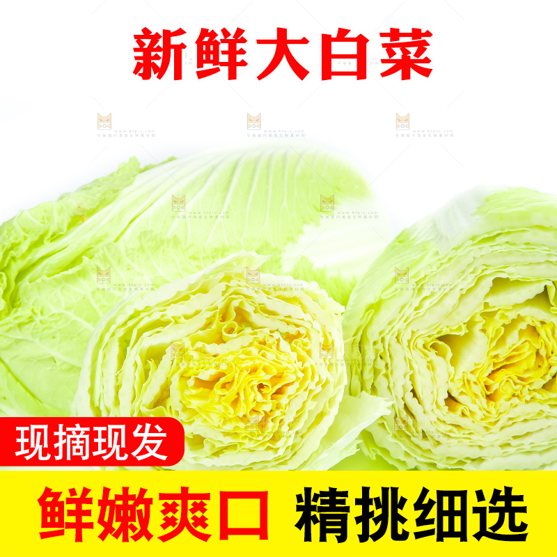 白底上放着大白菜