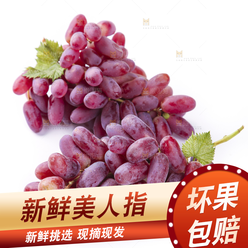 白底上放着美人指葡萄