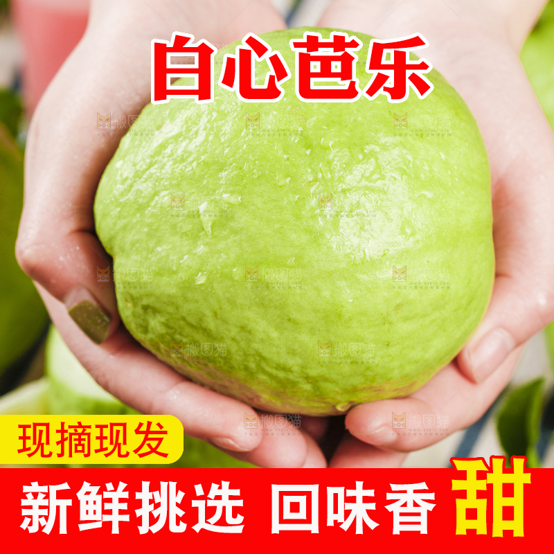 手里捧着白心芭乐