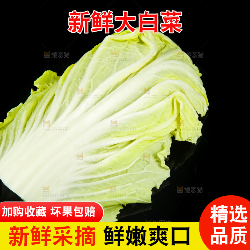 黑底上放着大白菜