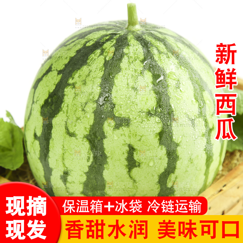白底上放着海南新鲜西瓜