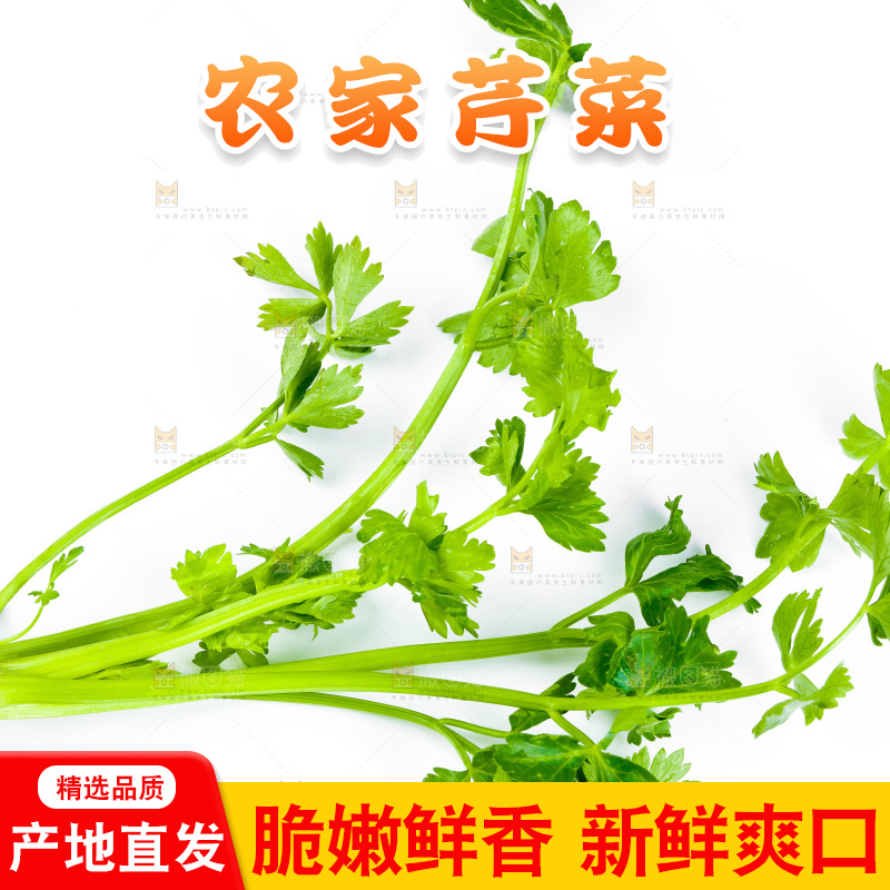 白底上放着芹菜