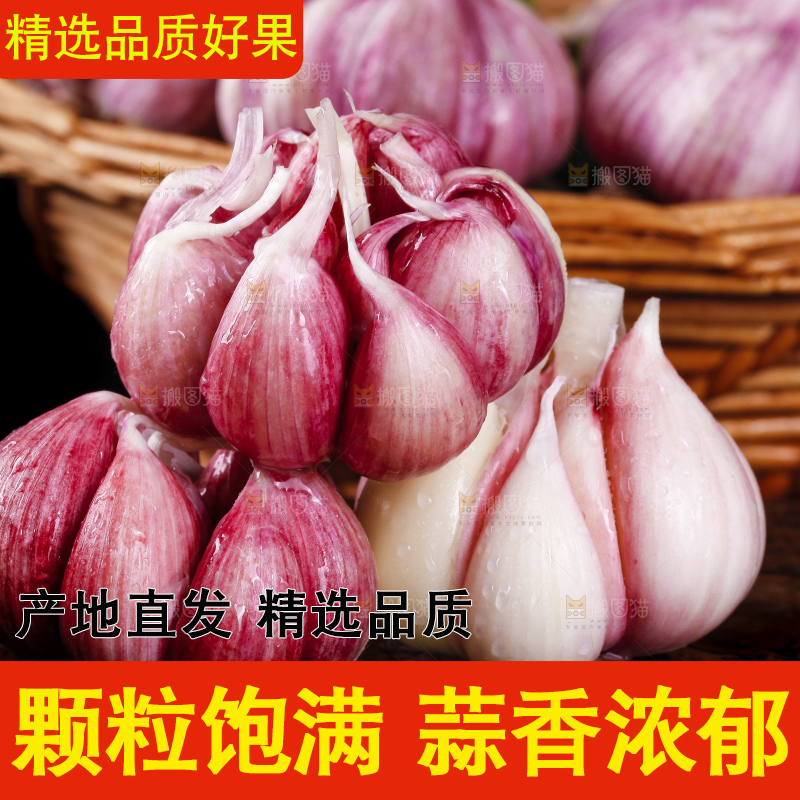深底上放着云南新鲜紫皮大蒜