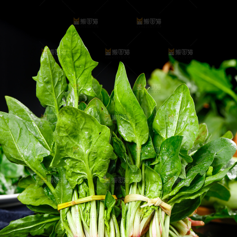 深底上堆着一捆菠菜