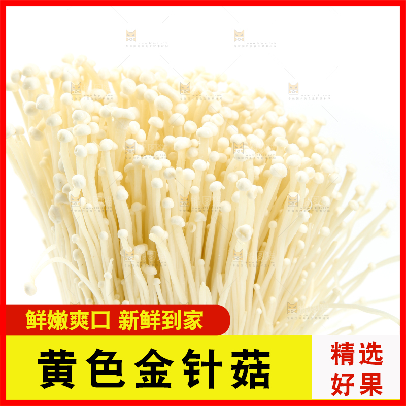 白底上的金针菇