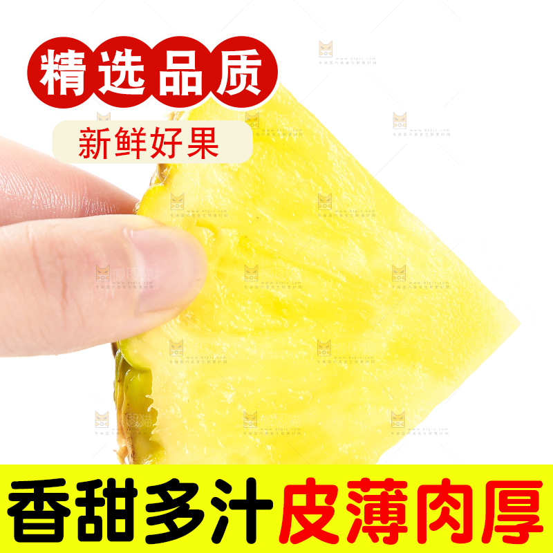 手里拿着海南金钻凤梨